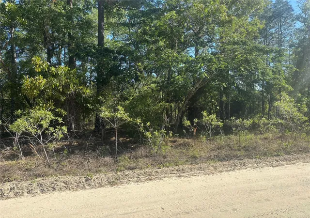 Photo 1 of Land for sale at 0000 Sw 8th Place, Williston, FL 32696 | MLS# OM723020 | Listing updated on 2026-04-24