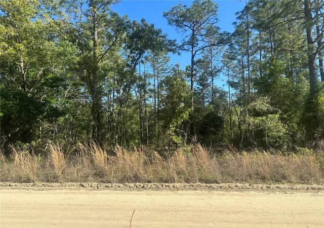 Photo 2 of Land for sale at 0000 Sw 8th Place, Williston, FL 32696 | MLS# OM723020 | Listing updated on 2026-04-24