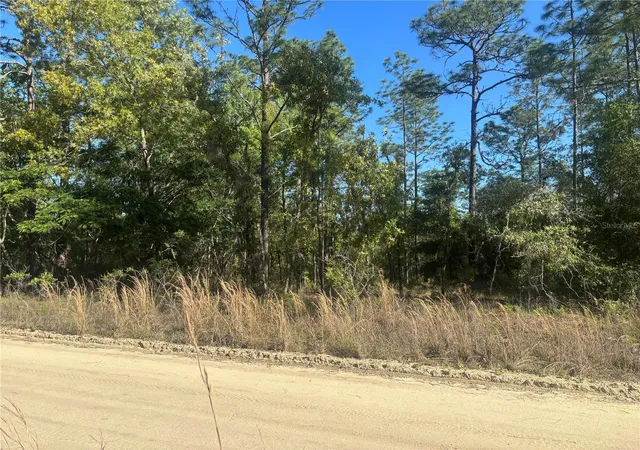 Photo 3 of Land for sale at 0000 Sw 8th Place, Williston, FL 32696 | MLS# OM723020 | Listing updated on 2026-04-24