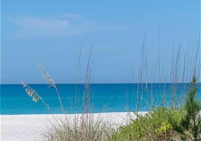 67th image of 1801 Gulf Dr N #293, Bradenton Beach, FL 34217 | MLS# A4690548