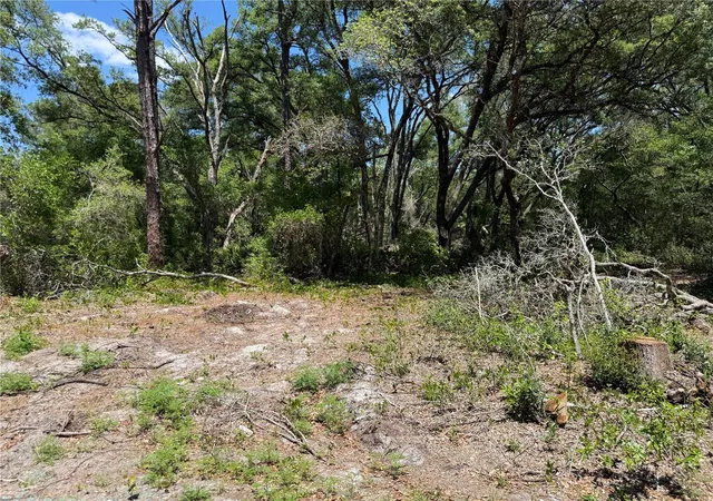 1st image of Fischer Lane Ct, Ocklawaha, FL 32179 | MLS# OM723040