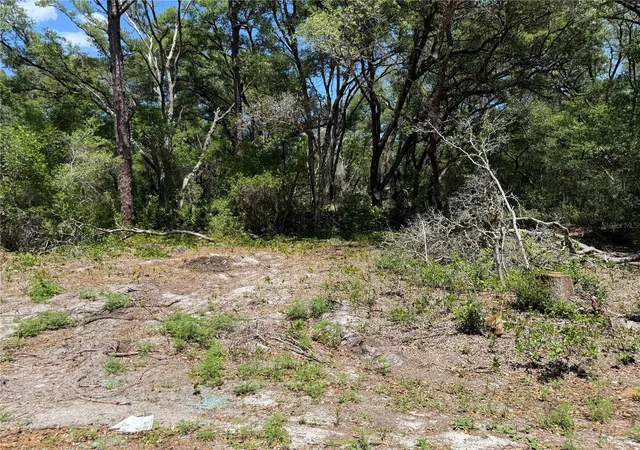2nd image of Fischer Lane Ct, Ocklawaha, FL 32179 | MLS# OM723040