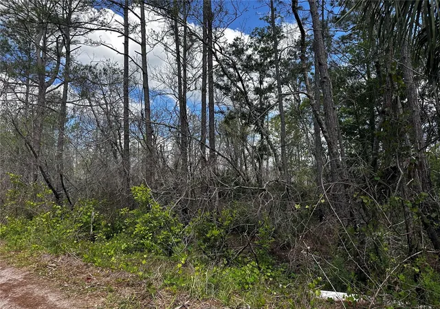 Photo 3 of Land for sale at 00 Kola Rd, New Smyrna Beach, FL 32168 | MLS# OM723043 | Listing updated on 2026-09-03