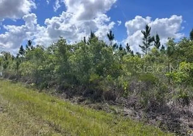 Photo 1 of Land for sale at 115 Japonica Ave, Indian Lake Estates, FL 33855 | MLS# TB8499175 | Listing updated on 2026-09-14