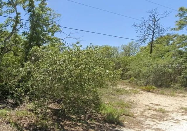 3rd image of 5276 W Winter Sun Ln, Homosassa, FL 34446 | MLS# TB8499187