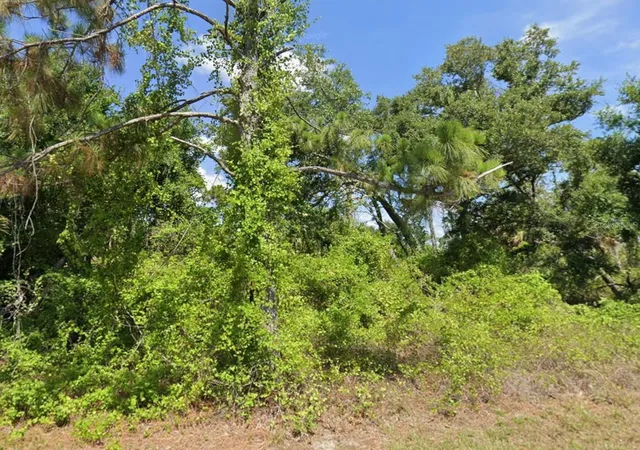 Photo 3 of Land for sale at 7373 Sioux St, Port Charlotte, FL 33981 | MLS# O6400412 | Listing updated on 2026-04-19