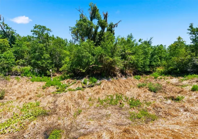 11th image of 19084 Red Bird Ln #LOT 5, Lithia, FL 33547 | MLS# TB8499513
