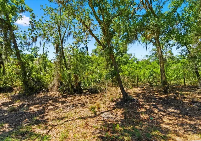 9th image of 19084 Red Bird Ln #LOT 1, Lithia, FL 33547 | MLS# TB8499517
