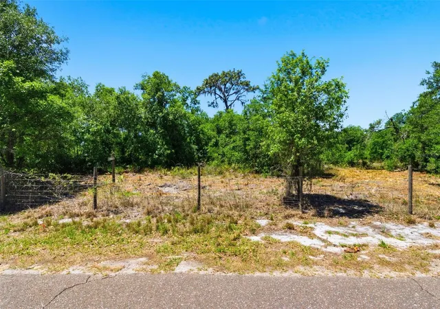 9th image of 19084 Red Bird Ln #LOT 2, Lithia, FL 33547 | MLS# TB8499520