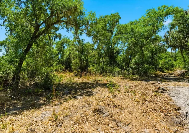 9th image of 19084 Red Bird Ln #LOT 3, Lithia, FL 33547 | MLS# TB8499527