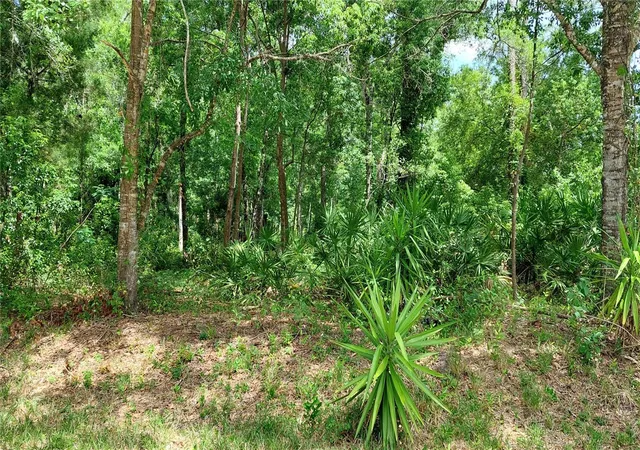Photo 1 of Land for sale at Davista, New Port Richey, FL 34654 | MLS# TB8499549 | Listing updated on 2026-10-02