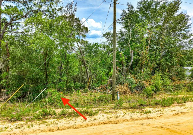 Photo 4 of Land for sale at 128 Carmichael Rd, Interlachen, FL 32148 | MLS# O6400577 | Listing updated on 2026-04-20