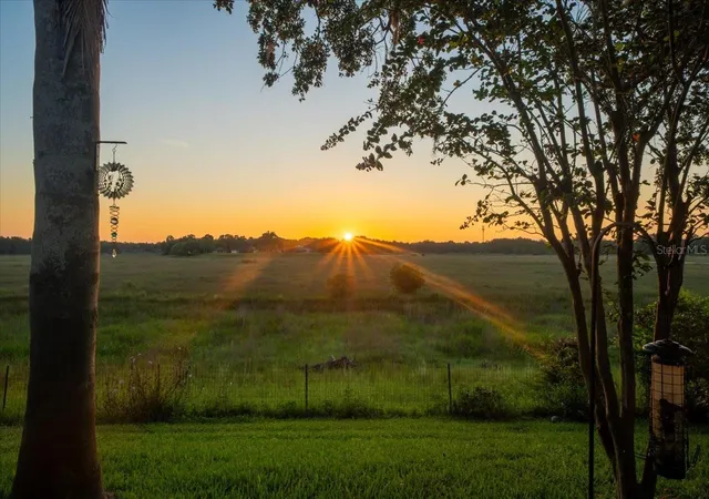 2nd image of 1472 Ivydale Rd, Spring Hill, FL 34606 | MLS# TB8499644