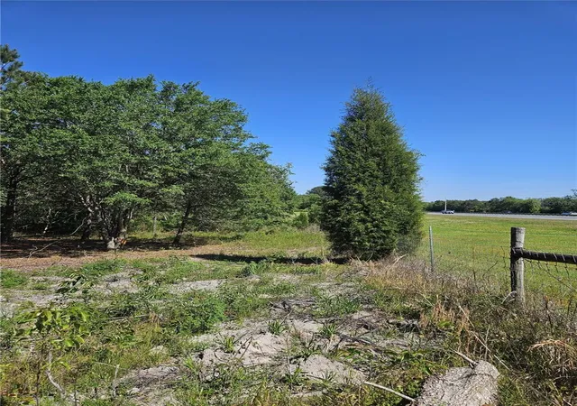 2nd image of 000 Sw Mixson Rd, Lake City, FL 32024 | MLS# TB8499733