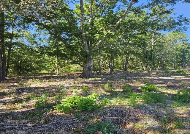 Photo 3 of Land for sale at 000 Sw Mixson Rd, Lake City, FL 32024 | MLS# TB8499733 | Listing updated on 2026-08-19