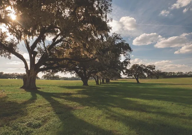 1st image of Tbd Nw Gainesville Rd, Reddick, FL 32686 | MLS# OM723151