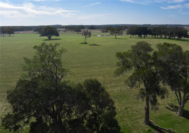 3rd image of Tbd Nw Gainesville Rd, Reddick, FL 32686 | MLS# OM723151