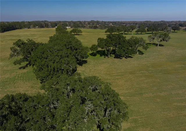 4th image of Tbd Nw Gainesville Rd, Reddick, FL 32686 | MLS# OM723151