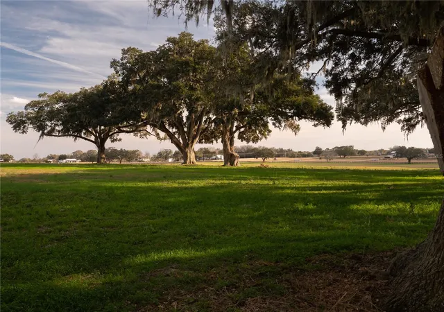 5th image of Tbd Nw Gainesville Rd, Reddick, FL 32686 | MLS# OM723151