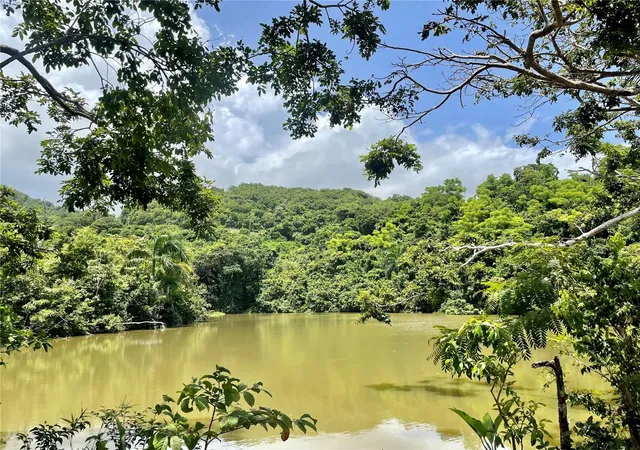 Homes for sale in Ceiba, PR | 981, Ceiba, PR 00735 | MLS# PR9120764