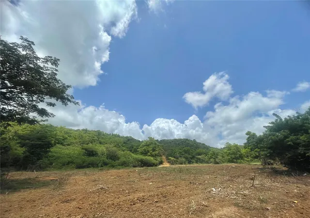 Homes for sale in Ceiba, PR | 981, Ceiba, PR 00735 | MLS# PR9120764