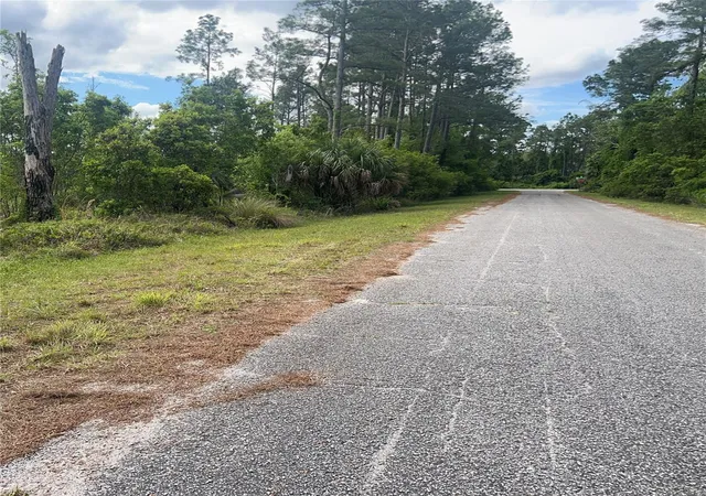 Photo 3 of Land for sale at Banyan St #Unit No. 1, Eustis, FL 32736 | MLS# O6400802 | Listing updated on 2026-07-20