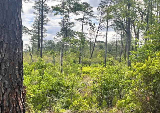 Photo 3 of Land for sale at Banyan St #Unit No. 1, Eustis, FL 32736 | MLS# O6400802 | Listing updated on 2026-07-20