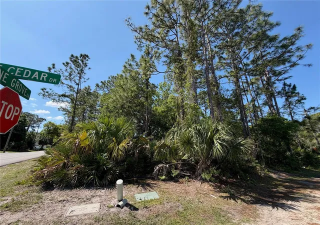 Photo 3 of Land for sale at 60 Pine Cedar Dr, Palm Coast, FL 32164 | MLS# FC317899 | Listing updated on 2026-05-12