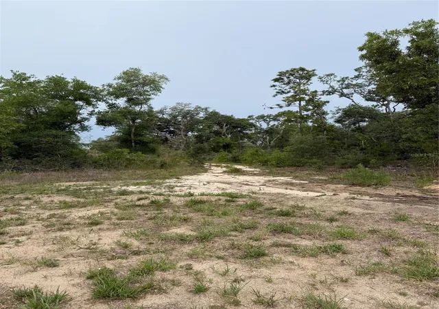 Photo 3 of Land for sale at 11656 S Florida Ave, Floral City, FL 34436 | MLS# TB8499943 | Listing updated on 2026-07-03