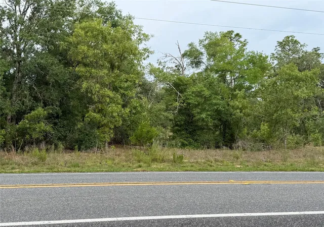 5th image of 11656 S Florida Ave, Floral City, FL 34436 | MLS# TB8499943