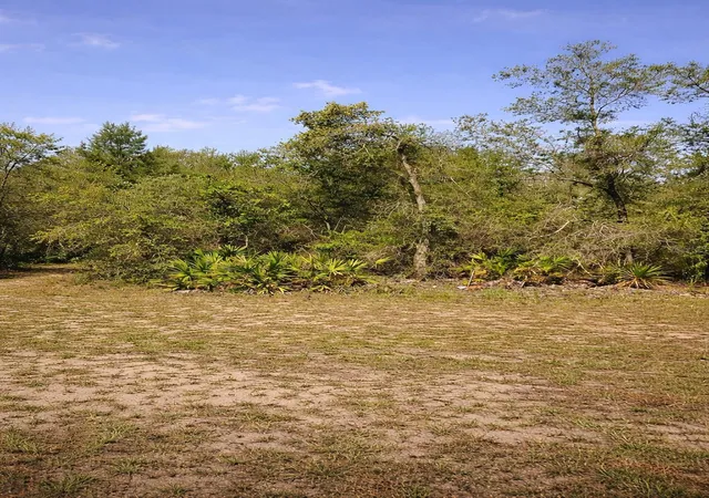 1st image of Shetland Dr, Lake Wales, FL 33898 | MLS# TB8499953