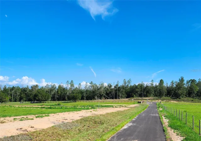 Photo 4 of Land for sale at 0 Christian Rd #Lot 1, Dade City, FL 33523 | MLS# TB8499965 | Listing updated on 2026-08-31