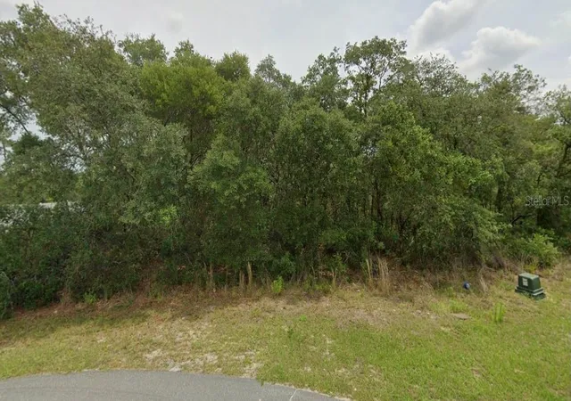 3rd image of 0 Sw 33 Avenue Rd #Lot 43, Ocala, FL 34473 | MLS# O6400887