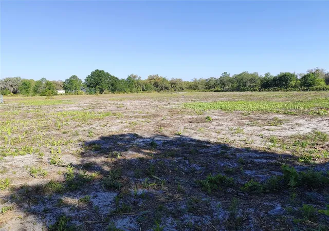5th image of 4535 Sarver Ave, Lake Wales, FL 33859 | MLS# O6400918