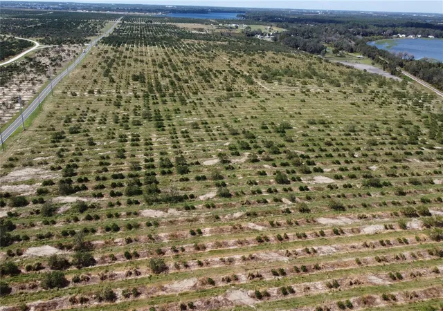 1st image of 3162 Power Line Rd, Avon Park, FL 33825 | MLS# TB8500013