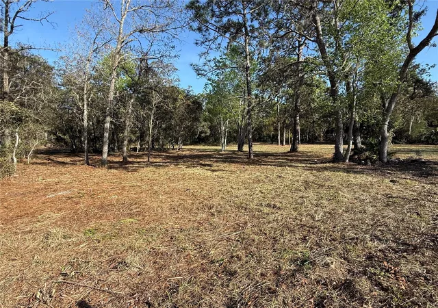 11th image of 6479 W Holiday St, Homosassa, FL 34446 | MLS# TB8500021