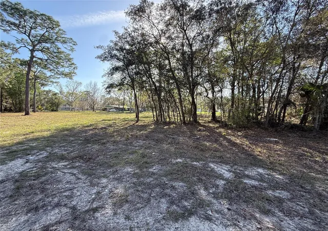 3rd image of 6479 W Holiday St, Homosassa, FL 34446 | MLS# TB8500021