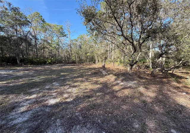 4th image of 6479 W Holiday St, Homosassa, FL 34446 | MLS# TB8500021