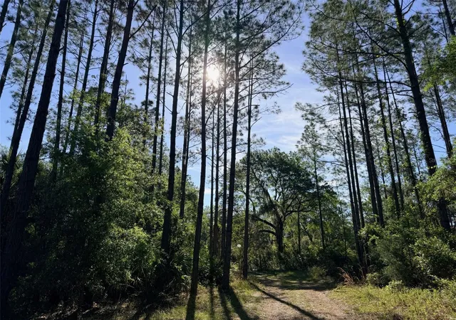 Photo 3 of Manufactured home for sale at 6650 NW 110th Avenue, Chiefland, FL 32626 | MLS# GC539649 | Listing updated on 2026-09-20