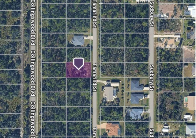 Photo 1 of Sale Pending at 3133 Tamarind St, Port Charlotte, FL 33948 | MLS# O6400966 | Listing updated on 2026-10-09