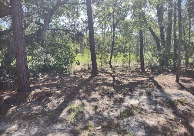 13th image of 9325 N Travis Dr, Citrus Springs, FL 34434 | MLS# TB8500172