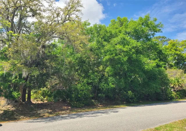 Homes for sale in Palm Coast, FL | 17 Farver Ln, Palm Coast, FL 32137 | MLS# FC317948