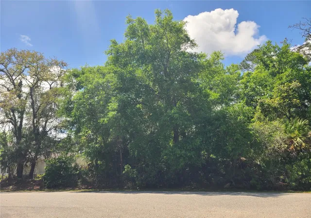 Homes for sale in Palm Coast, FL | 17 Farver Ln, Palm Coast, FL 32137 | MLS# FC317948