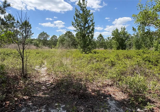 1st image of San Juan Ave, Polk City, FL 33868 | MLS# G5111368