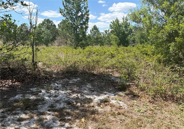 4th image of San Juan Ave, Polk City, FL 33868 | MLS# G5111368