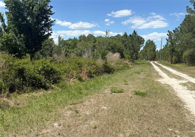 6th image of San Juan Ave, Polk City, FL 33868 | MLS# G5111368