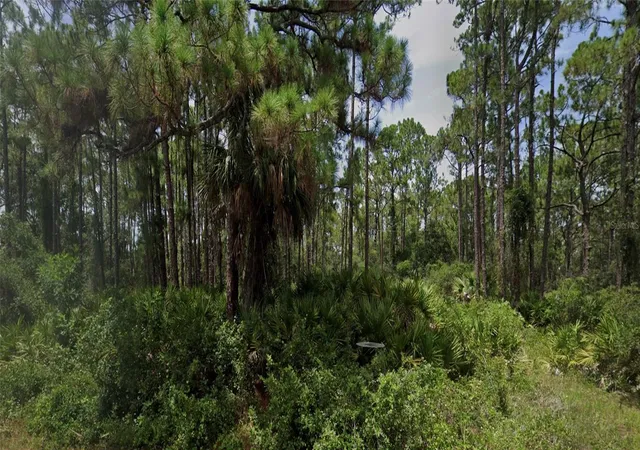 Photo 4 of Land for sale at 13124 Woolard Ave, Port Charlotte, FL 33953 | MLS# C7525203 | Listing updated on 2026-09-25