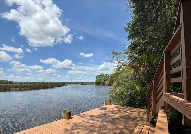 72nd image of 649 Charmagne Ln, Port Orange, FL 32127 | MLS# V4948659