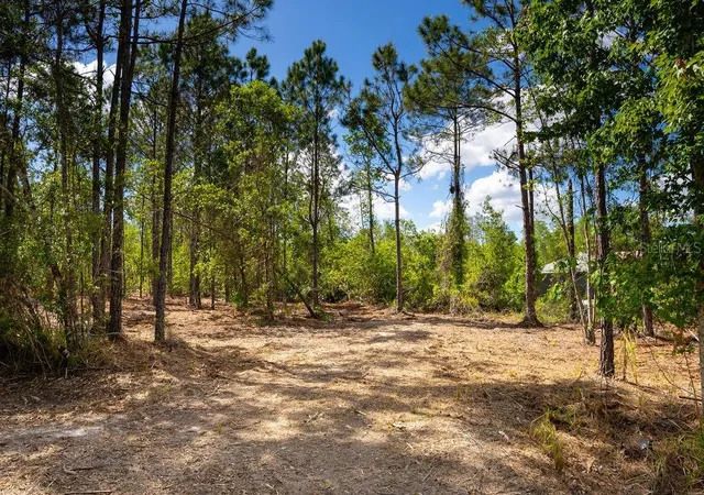 3rd image of 3770 Balsam Ct, Ormond Beach, FL 32174 | MLS# V4948665
