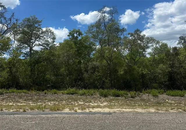 Homes for sale in Dunnellon, FL | 8036 N Wayside Ave, Dunnellon, FL 34433 | MLS# TB8500739
